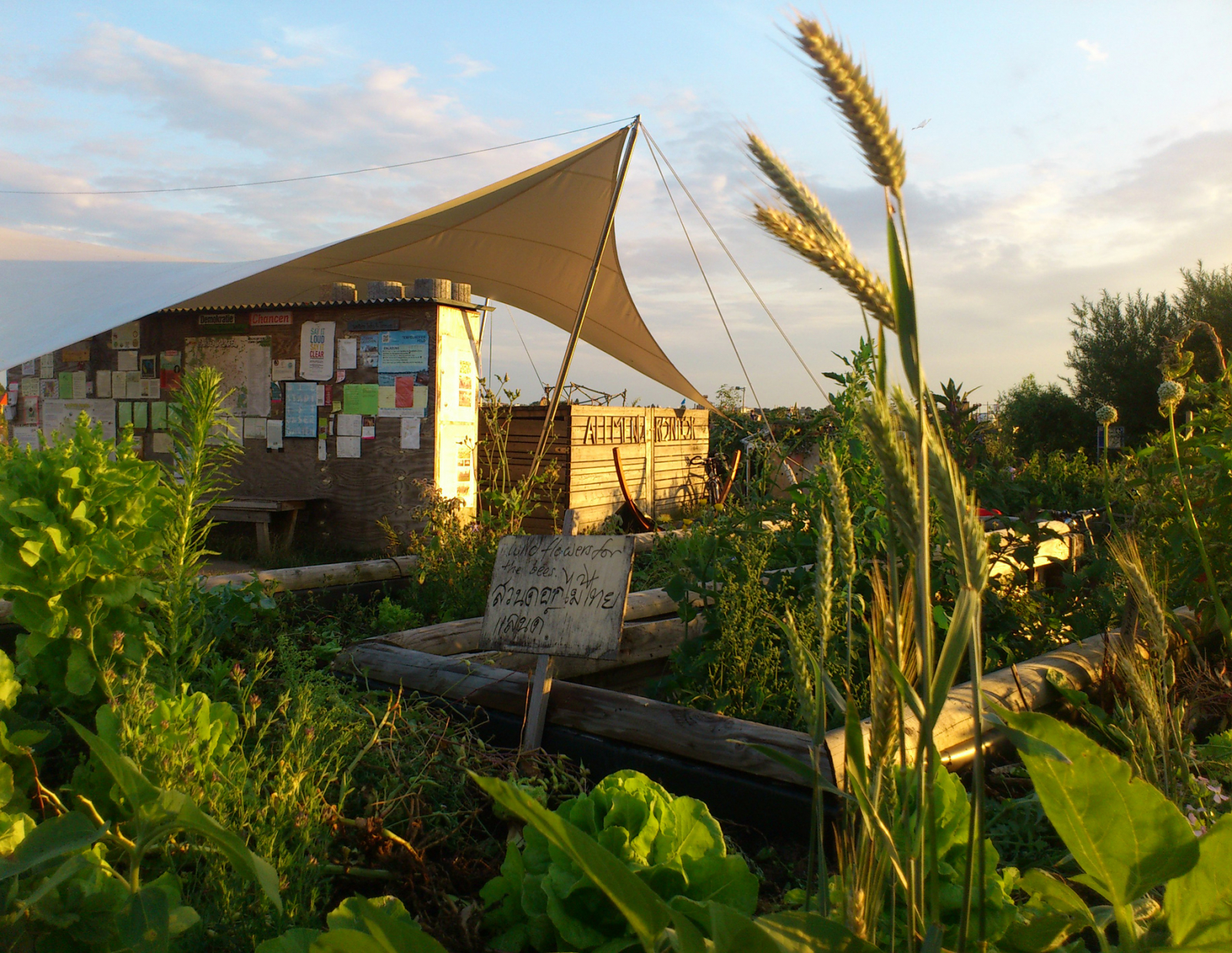 Festival Dependance Allmende-Kontor